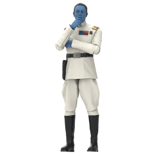 Star Wars The Black Series Grand Admiral Thrawn 6-Inch Action Figure MAPLE AND MANGOES