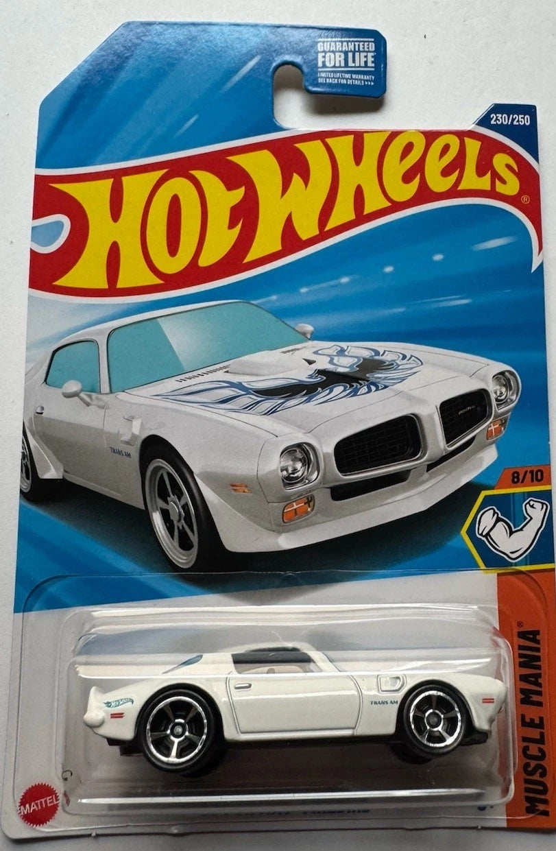 2025 Hot Wheels MUSCLE MANIA 8/10 '73 Pontiac Firebird 230/250