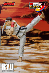 1/12 Street Fighter ZERO3 Action Figure Ryu Maple and Mangoes