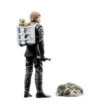 Load image into Gallery viewer, Star Wars The Black Series Luke Skywalker &amp; Grogu 6-Inch Action Figures Maple and Mangoes
