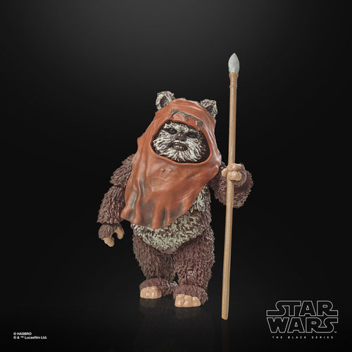 Star Wars The Black Series Return of the Jedi 40th Anniversary 6-Inch Wicket the Ewok Action Figure Maple and Mangoes