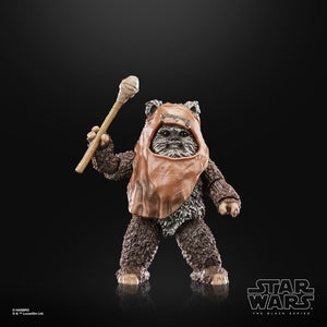 Star Wars The Black Series Return of the Jedi 40th Anniversary 6-Inch Wicket the Ewok Action Figure Maple and Mangoes