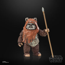 Load image into Gallery viewer, Star Wars The Black Series Return of the Jedi 40th Anniversary 6-Inch Wicket the Ewok Action Figure Maple and Mangoes
