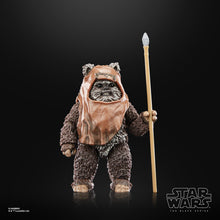 Load image into Gallery viewer, Star Wars The Black Series Return of the Jedi 40th Anniversary 6-Inch Wicket the Ewok Action Figure Maple and Mangoes
