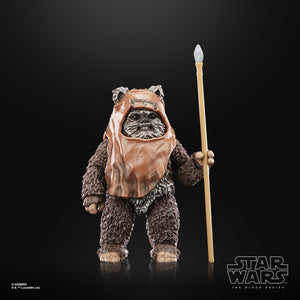 Star Wars The Black Series Return of the Jedi 40th Anniversary 6-Inch Wicket the Ewok Action Figure Maple and Mangoes